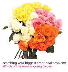 Searching your biggest emotional problem: Which of the roses is going to die?